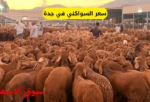 سعر السواكني في جدة