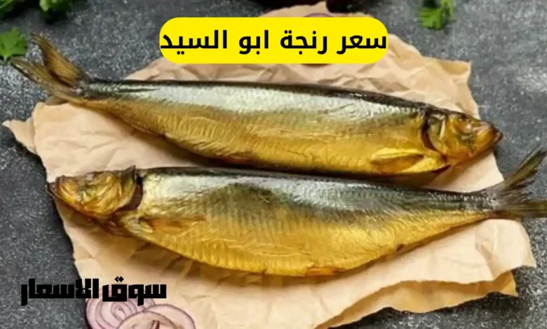 قائمة اسعار رنجة ابو السيد