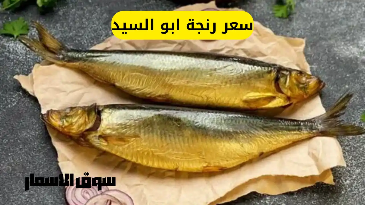 قائمة اسعار رنجة ابو السيد