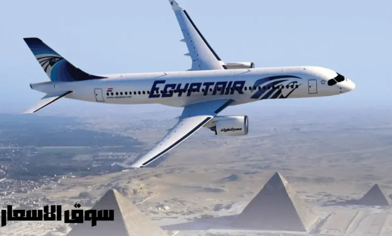 مصاريف الكلية المصرية للطيران