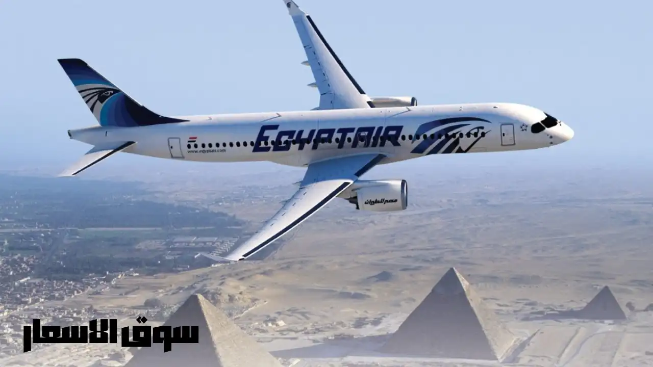 مصاريف الكلية المصرية للطيران