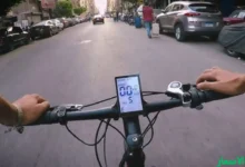 أفضل أنواع العجل في مصر 2025 : كيف تختار افضل نوع عجل في مصر