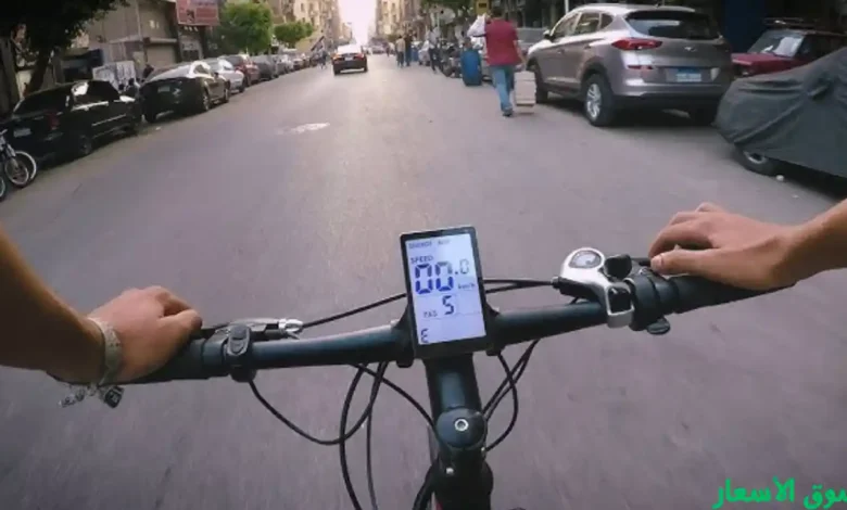 أفضل أنواع العجل في مصر 2025 : كيف تختار افضل نوع عجل في مصر