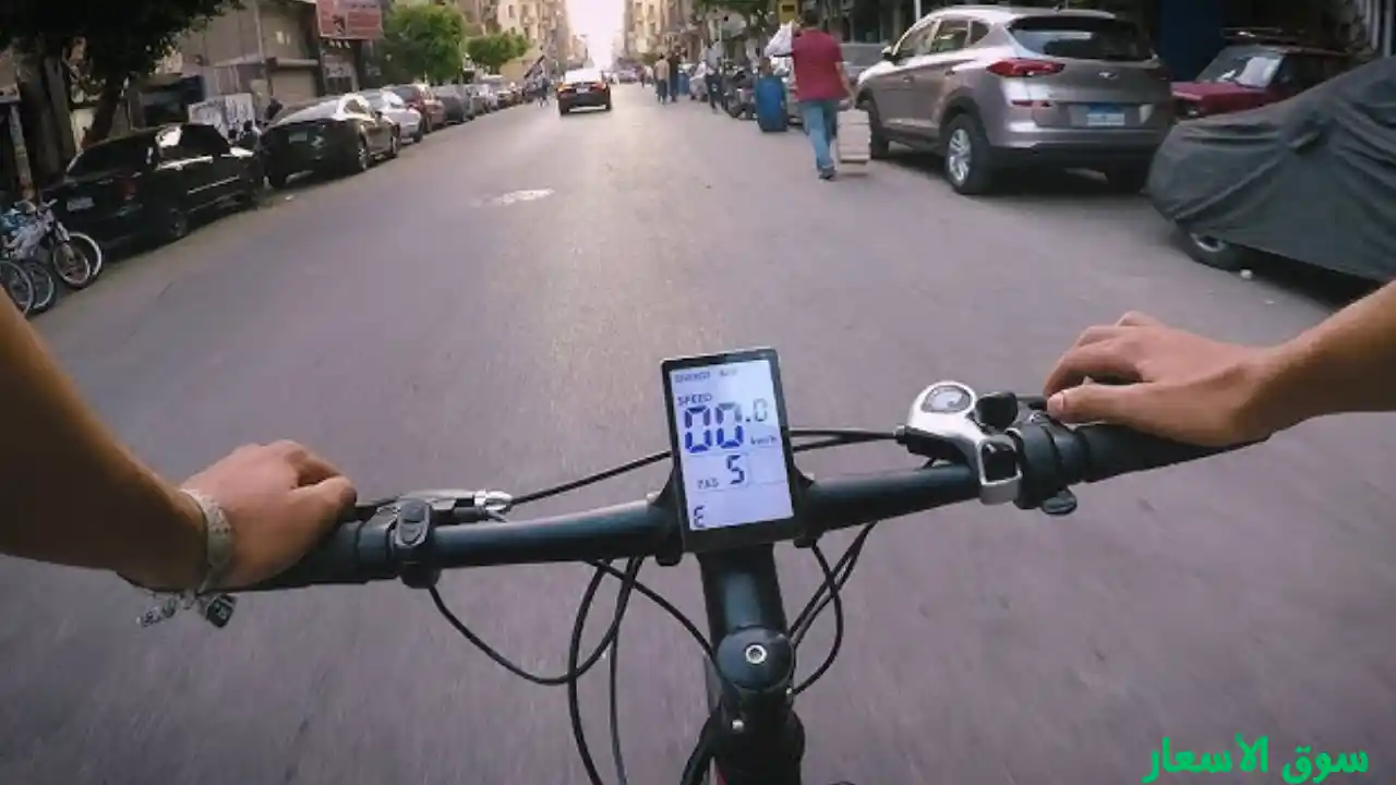 أفضل أنواع العجل في مصر 2025 : كيف تختار افضل نوع عجل في مصر