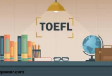 سعر كورس التويفل في جامعة القاهرة