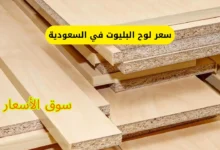 سعر لوح البليوت في السعودية