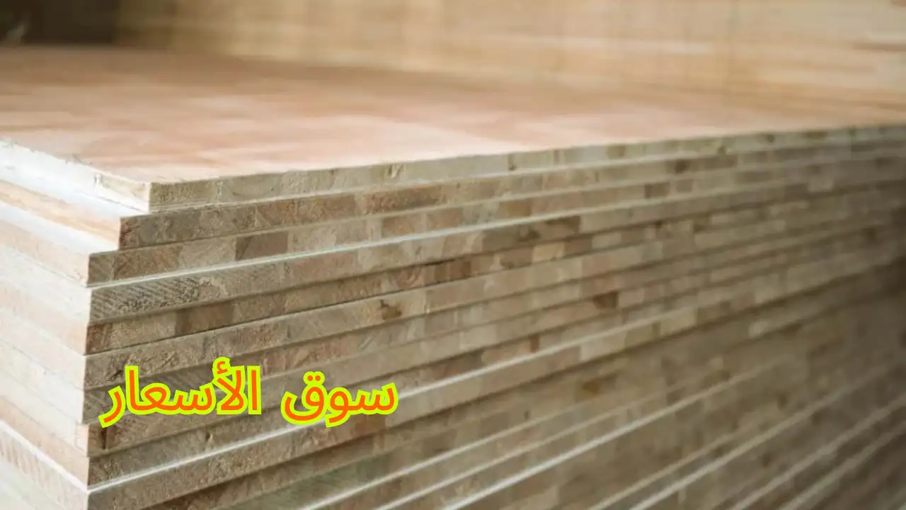 سعر لوح البليوت في السعودية