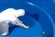 تكلفة تنظيف الخزانات في الرياض