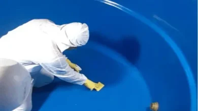 تكلفة تنظيف الخزانات في الرياض