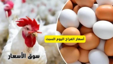 أسعار الفراخ اليوم السبت