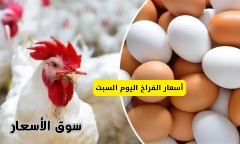 أسعار الفراخ اليوم السبت