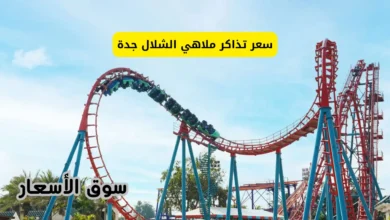 سعر تذاكر ملاهي الشلال جدة