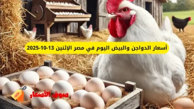 أسعار الدواجن والبيض اليوم
