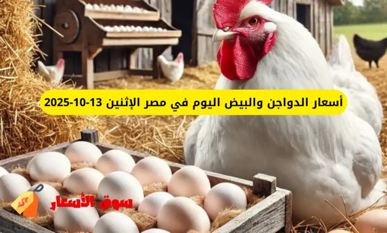 أسعار الدواجن والبيض اليوم