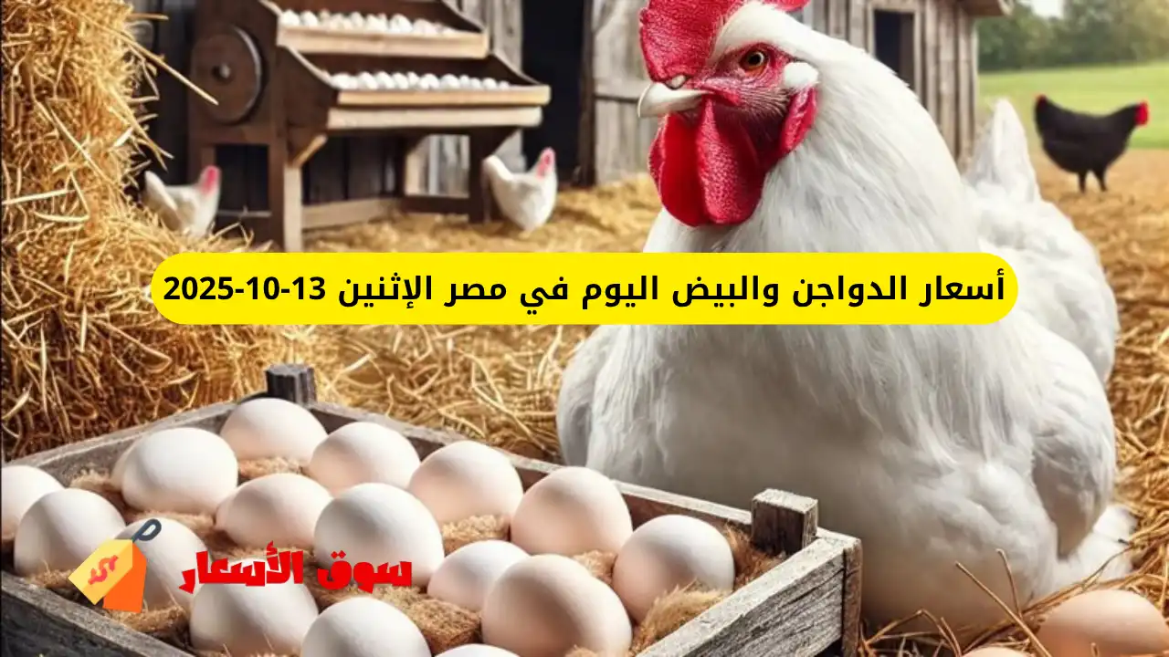 أسعار الدواجن والبيض اليوم