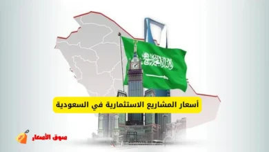 أسعار المشاريع الاستثمارية في السعودية
