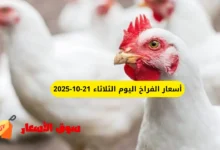 أسعار الفراخ اليوم الثلاثاء