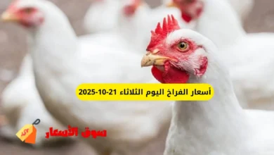 أسعار الفراخ اليوم الثلاثاء