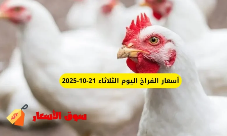 أسعار الفراخ اليوم الثلاثاء