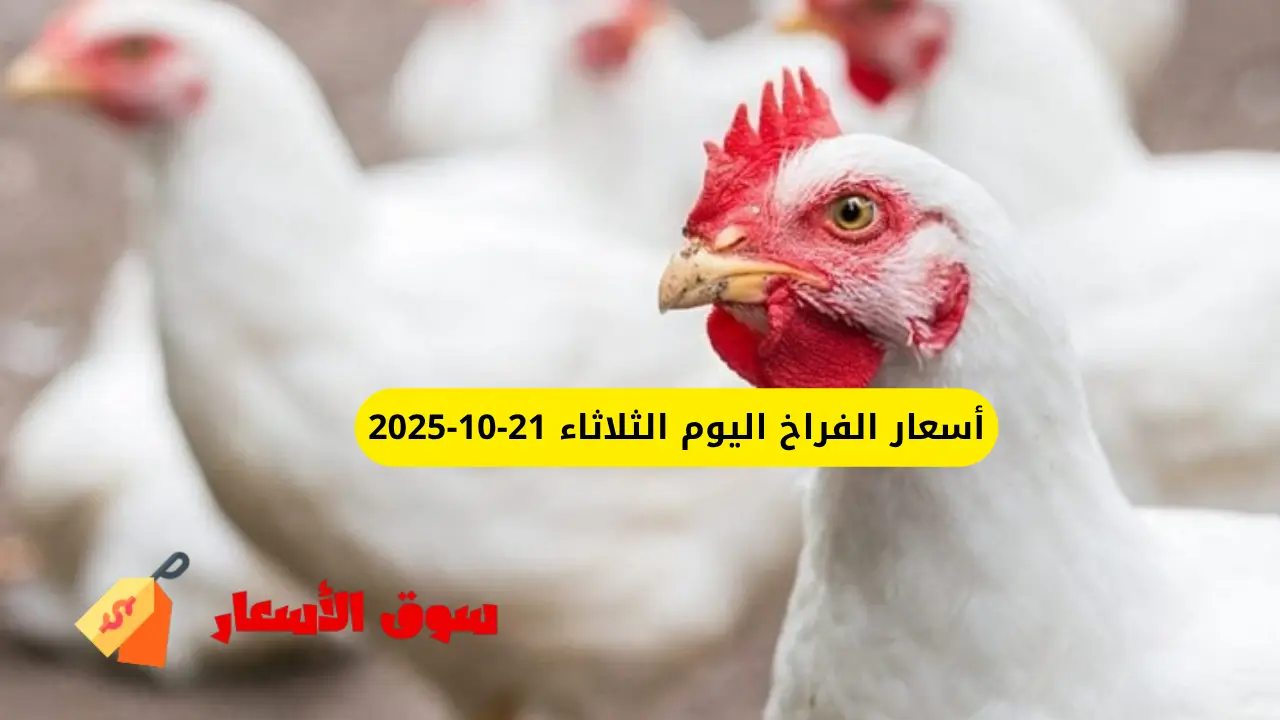 أسعار الفراخ اليوم الثلاثاء