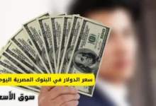 سعر الدولار في البنوك المصرية اليوم