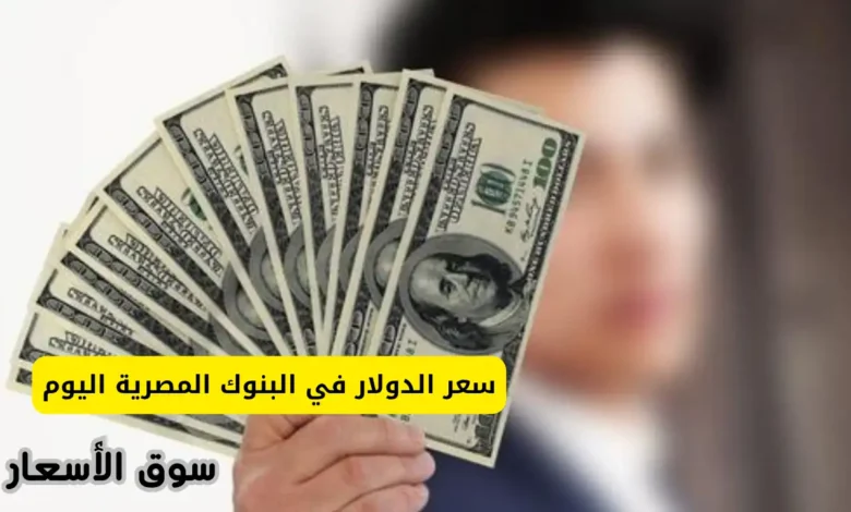 سعر الدولار في البنوك المصرية اليوم