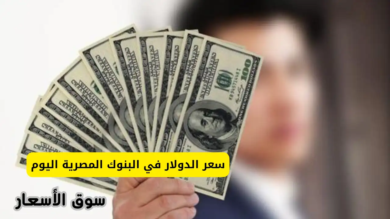 سعر الدولار في البنوك المصرية اليوم
