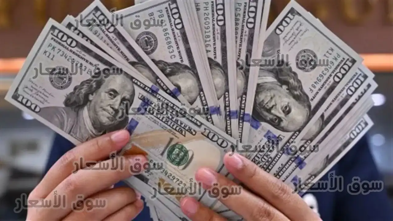 سعر الدولار في البنوك المصرية اليوم السبت