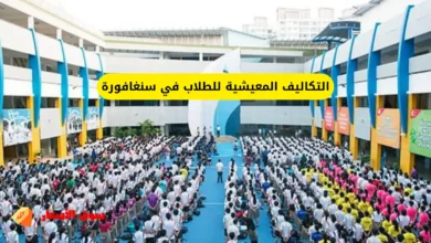 التكاليف المعيشية للطلاب في سنغافورة