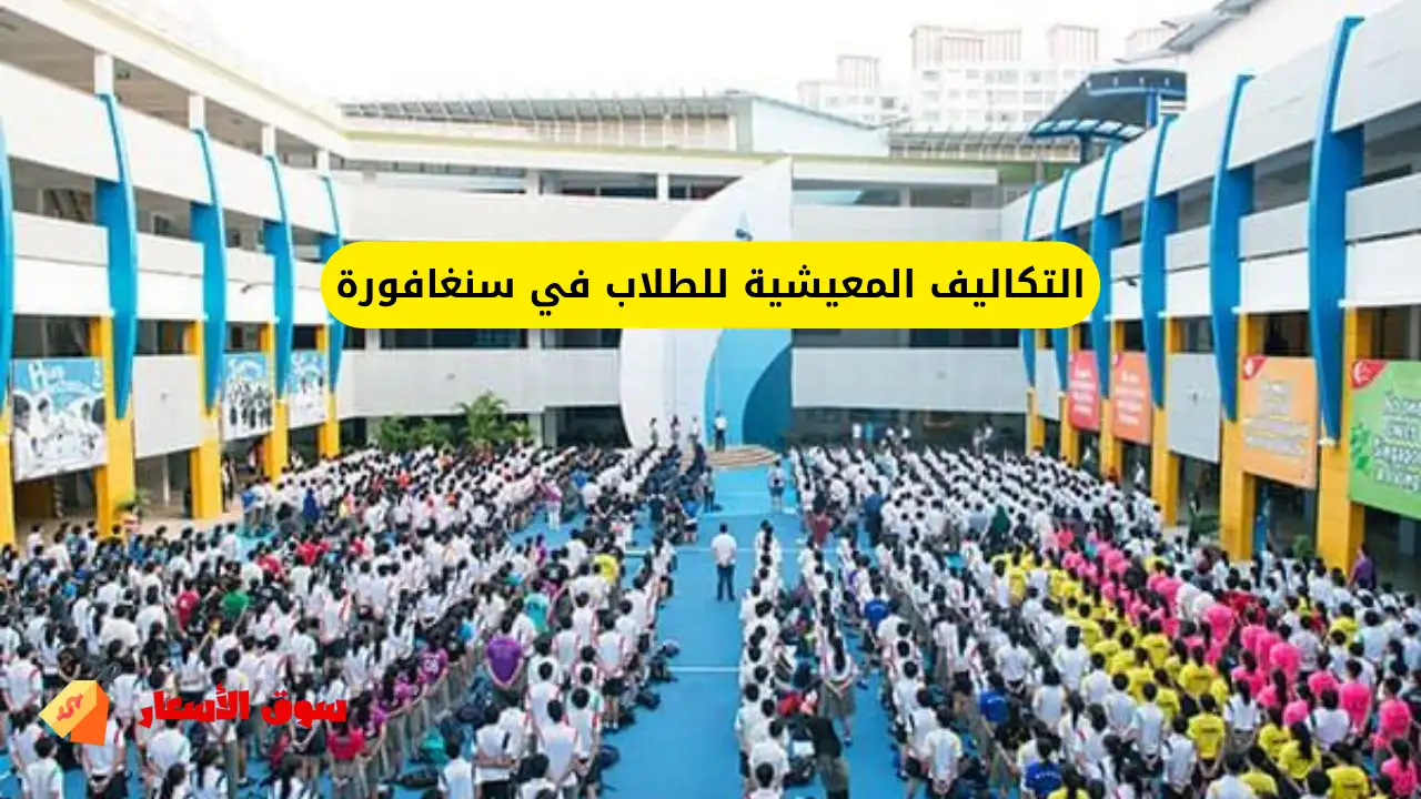 التكاليف المعيشية للطلاب في سنغافورة
