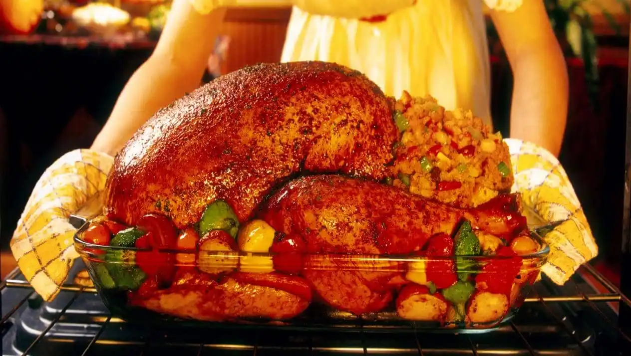 سعر الديك الرومي