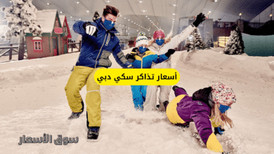 أسعار تذاكر سكي دبي