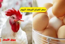 أسعار الفراخ اليوم الاحد