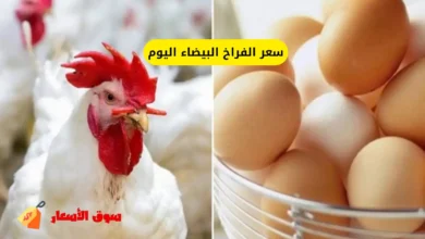 أسعار الفراخ اليوم الاحد