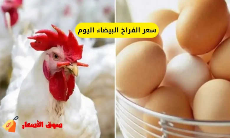 أسعار الفراخ اليوم الاحد
