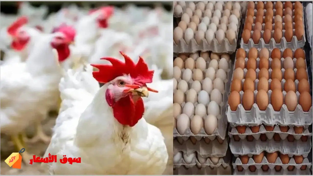 أسعار الفراخ اليوم الاحد