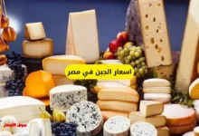 اسعار الجبن في مصر
