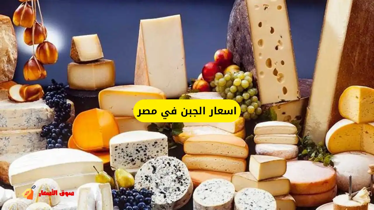 اسعار الجبن في مصر