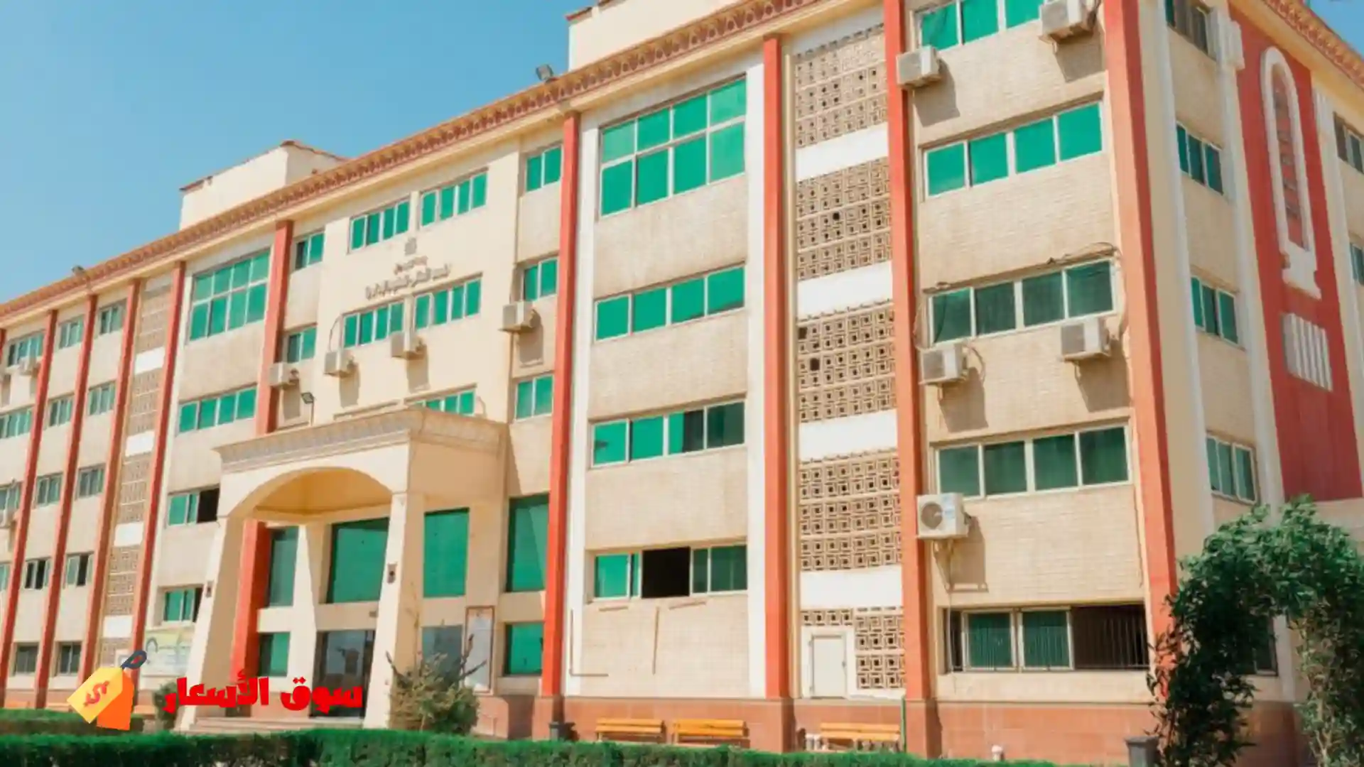 أسعار مصاريف المعاهد الخاصة في مصر