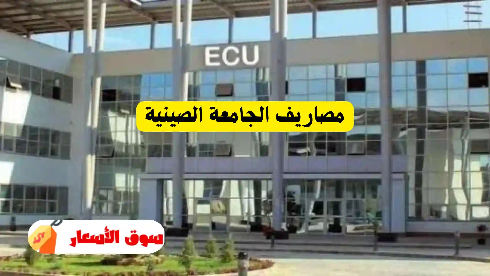 مصاريف الجامعة الصينية