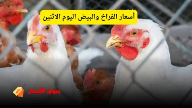 أسعار الفراخ والبيض اليوم الاثنين
