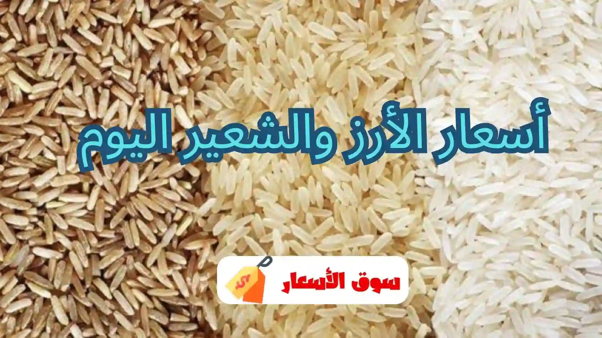 أسعار الأرز والشعير اليوم