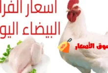 أسعار الفراخ اليوم