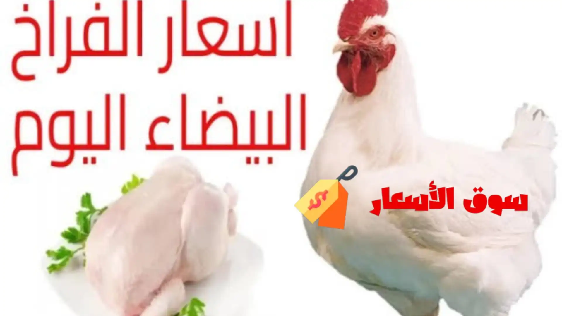 أسعار الفراخ اليوم