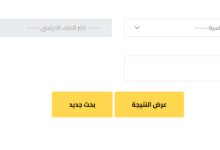 نتيجة الصف السادس الابتدائي