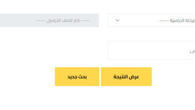 نتيجة الصف السادس الابتدائي