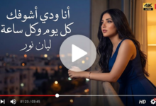 كلمات اغنيه انا ودي اشوفك