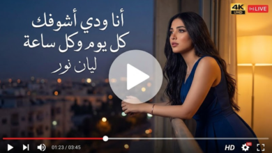 كلمات اغنيه انا ودي اشوفك