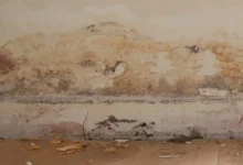 كيف تعالج آثار الرطوبة والعفن