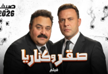 فيلم صقر وكناريا